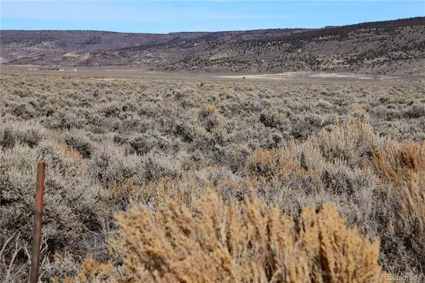 a view of outdoor space and covered with green space