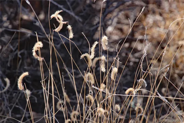 a bathroom with a shower curtain