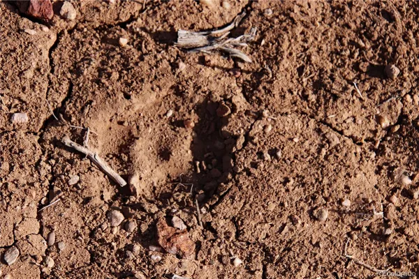 $28,000 | 12.5 San Luis Co 81152, San Luis, CO 81152