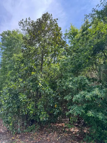 $120,000 | 1 Mt Carmel Road, Walterboro, SC 29488