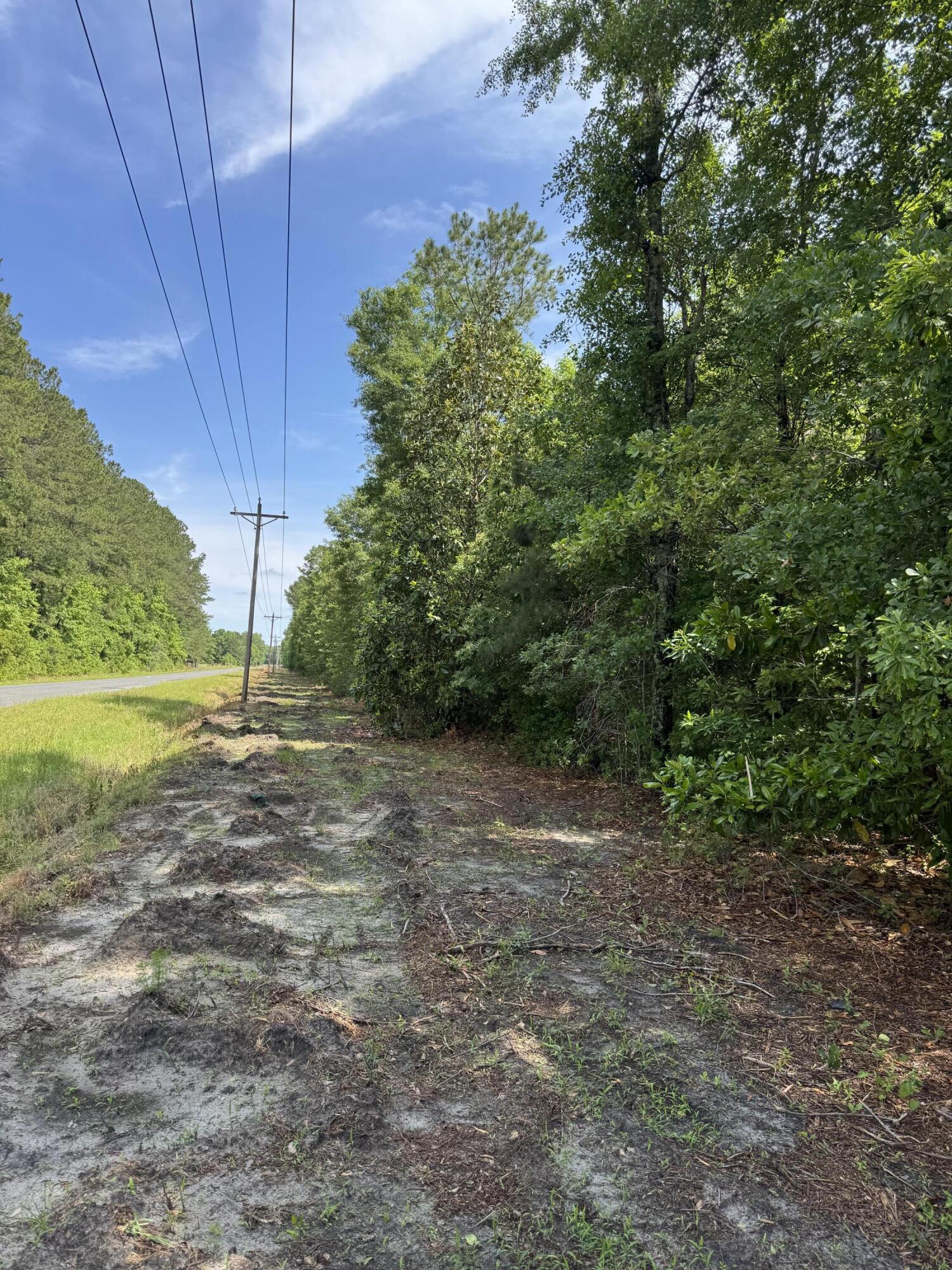 1 Mt Carmel Road Walterboro, SC 29488 - Photo 5 of 5 IMG_5683