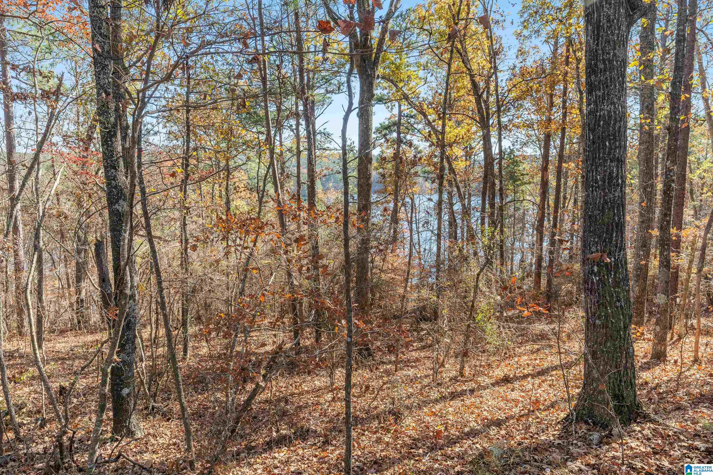 0 Pumpkin Hollow Road Sterrett, AL 35147 - Photo 43 of 55