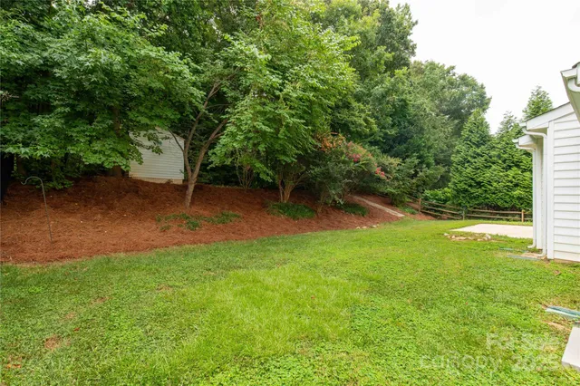 a view of a tree in a yard