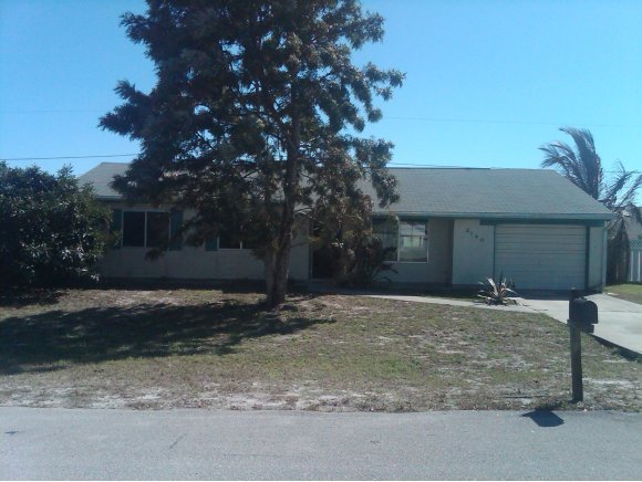a house with a tree in front of it