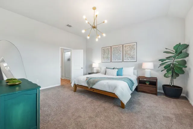 a spacious bedroom with a bed and a potted plant