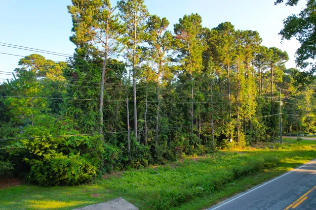$950,000 | 0 Rifle Range Road, Unit LOT 1 & 2), Mount Pleasant, SC 29466