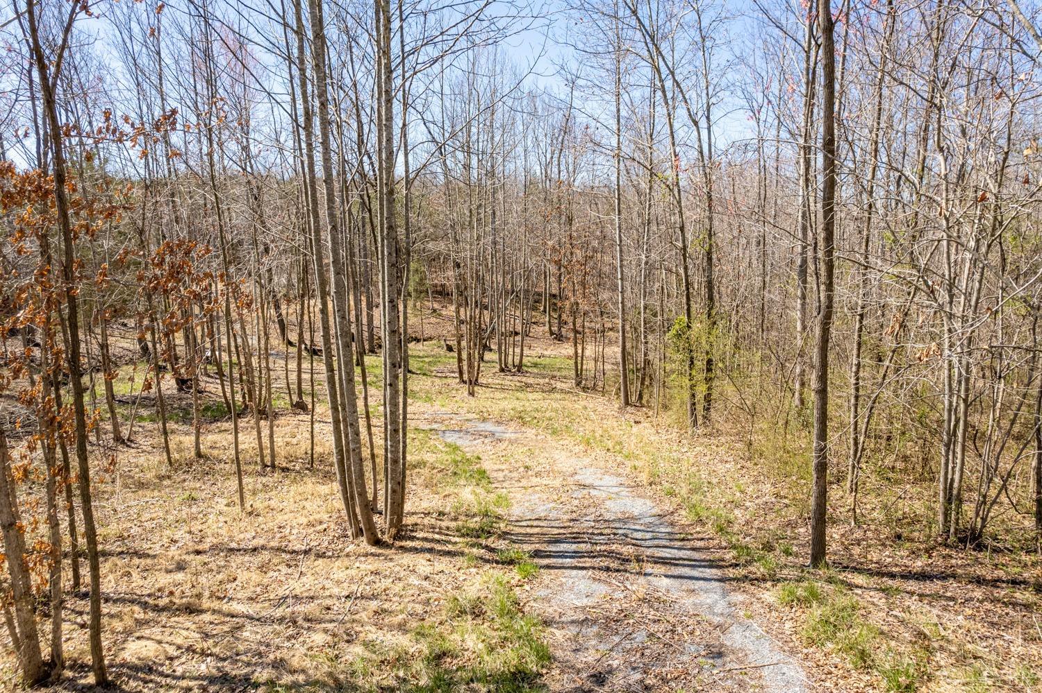 2-3 Elliott Road Gladys, VA 24554 - Photo 3 of 24