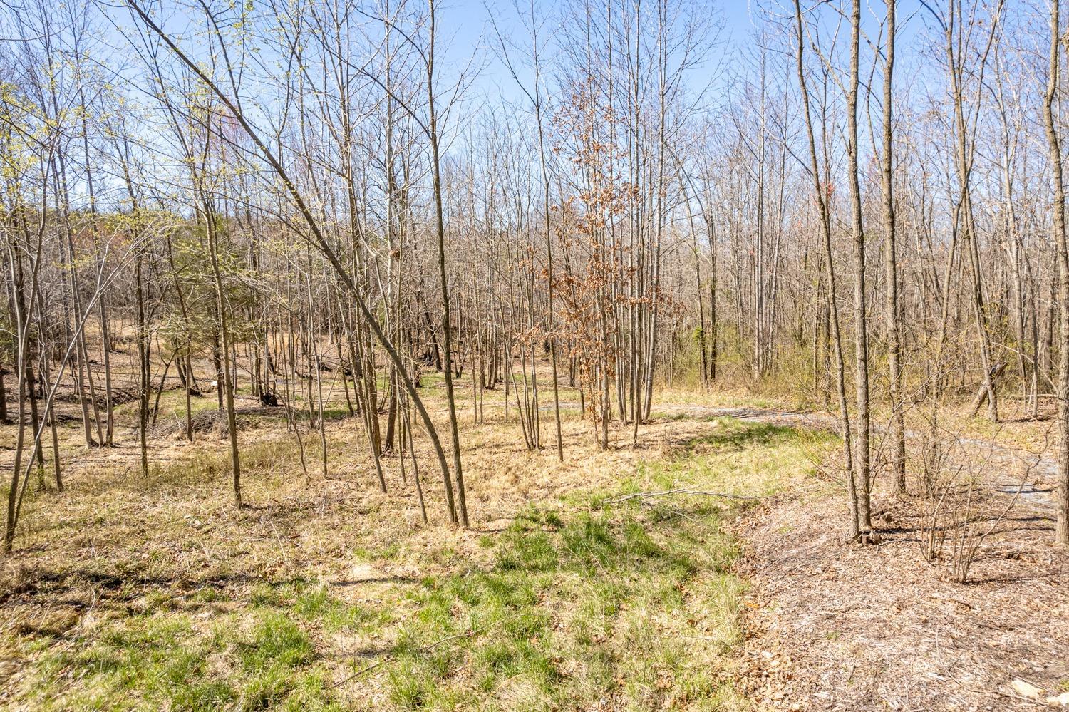 2-3 Elliott Road Gladys, VA 24554 - Photo 7 of 24