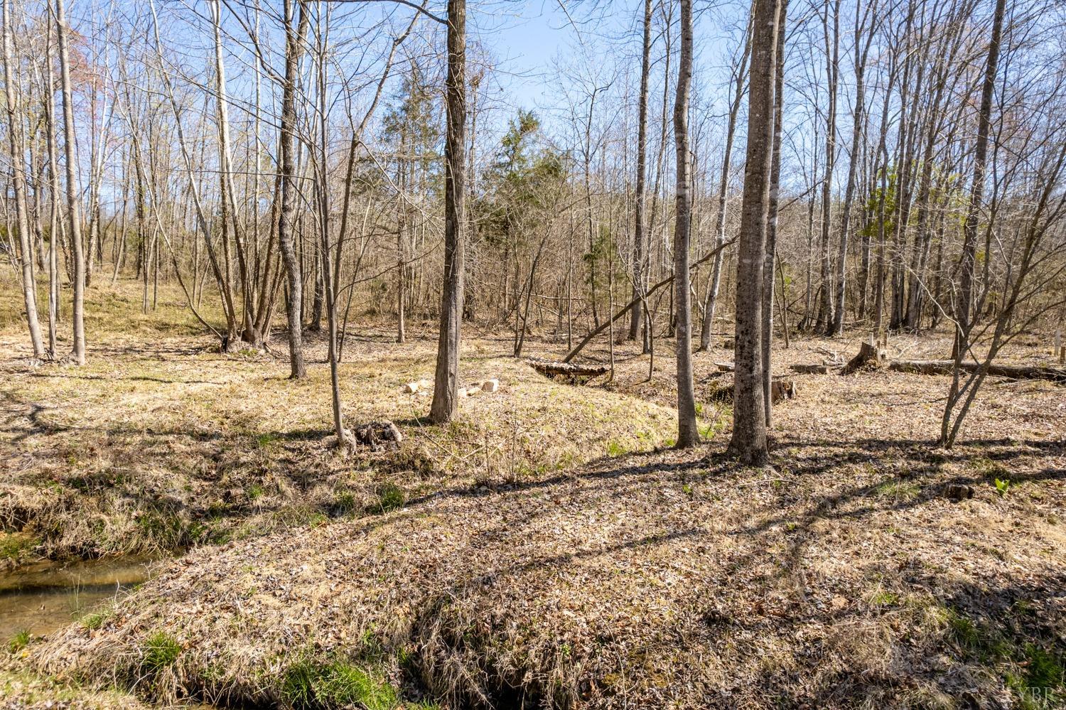 2-3 Elliott Road Gladys, VA 24554 - Photo 8 of 24