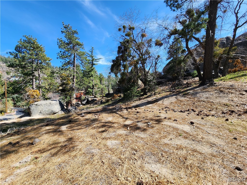 33344 Music Camp Road Running Springs, CA 92382 - Photo 12 of 49 Gallery Image 12
