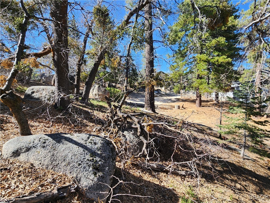 33344 Music Camp Road Running Springs, CA 92382 - Photo 38 of 49 Gallery Image 38