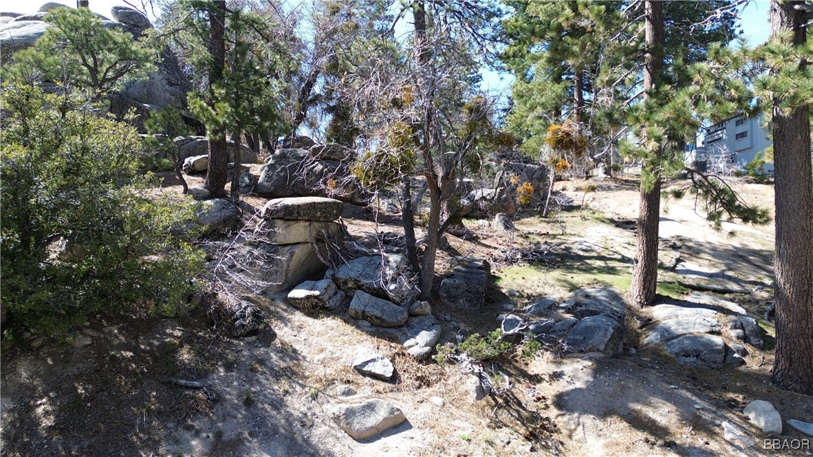 33344 Music Camp Road Running Springs, CA 92382 - Photo 48 of 49 Gallery Image 48