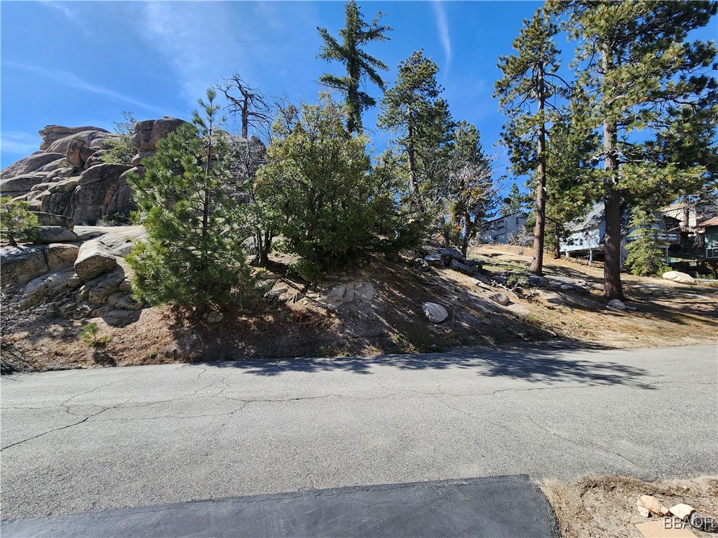 33344 Music Camp Road Running Springs, CA 92382 - Photo 8 of 49 Gallery Image 8