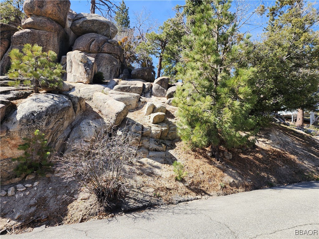 33344 Music Camp Road Running Springs, CA 92382 - Photo 9 of 49 Gallery Image 9