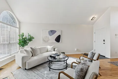 a living room with furniture potted plant and a fireplace