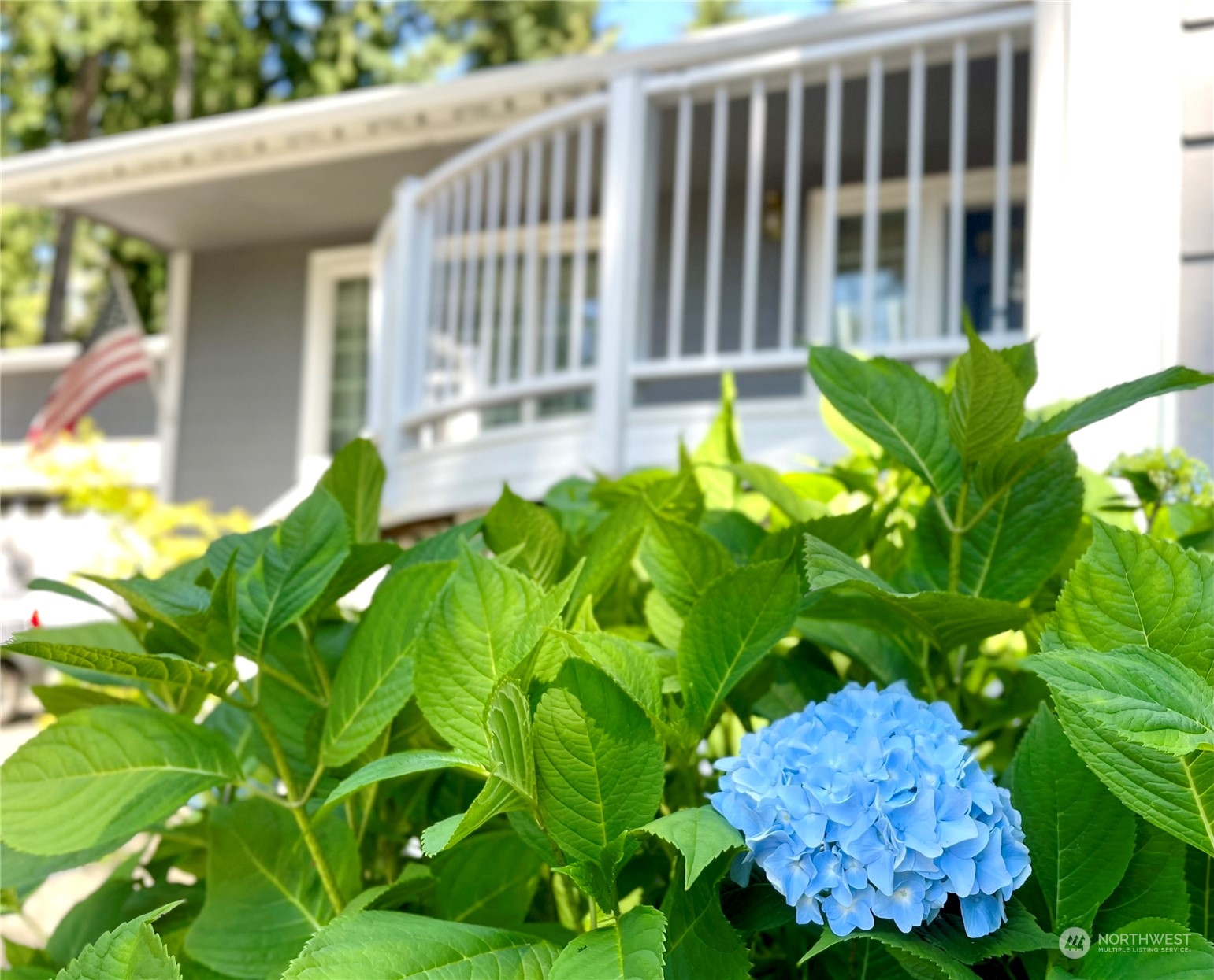 192 Gold Creek Road Northwest Bremerton, WA 98312 - Photo 34 of 38 a view of a backyard with plants