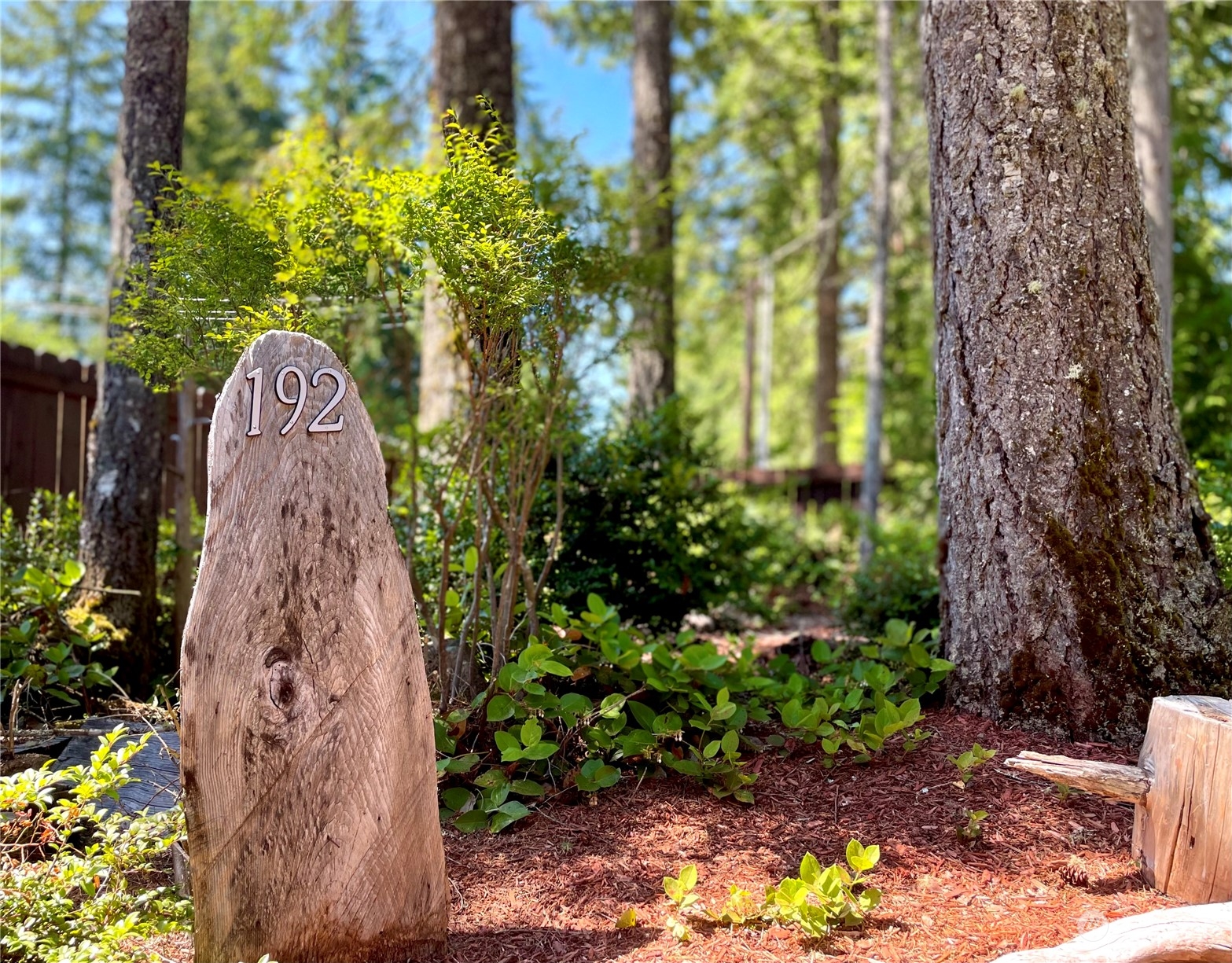 192 Gold Creek Road Northwest Bremerton, WA 98312 - Photo 5 of 38 a view of a garden with plants