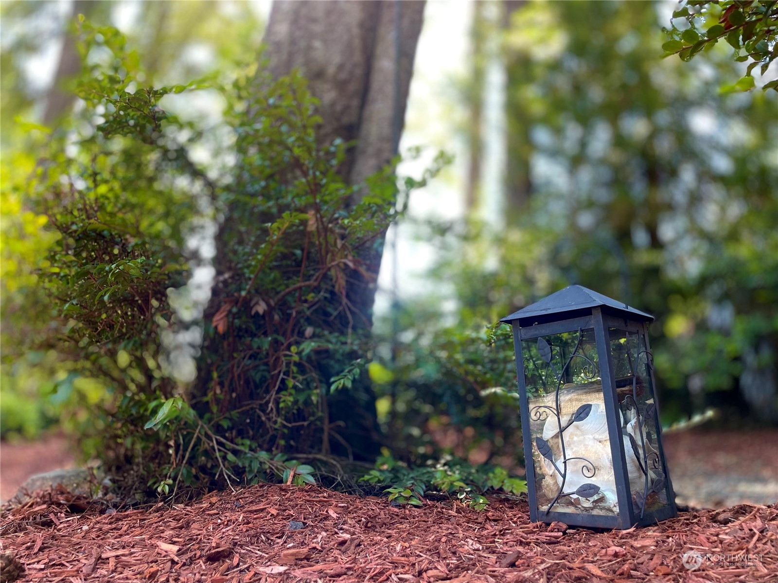 192 Gold Creek Road Northwest Bremerton, WA 98312 - Photo 7 of 38 a backyard of a house with lots of green space