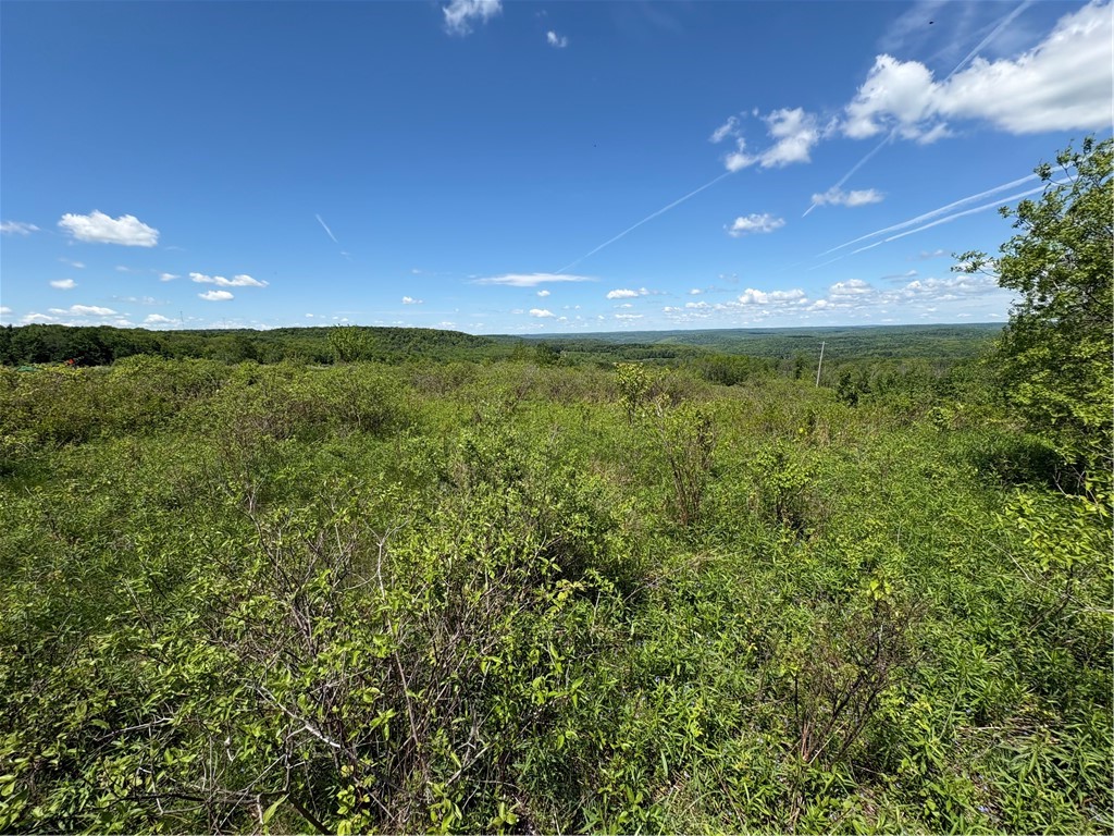 36 County Road Guilford, NY 13780 - Photo 35 of 38