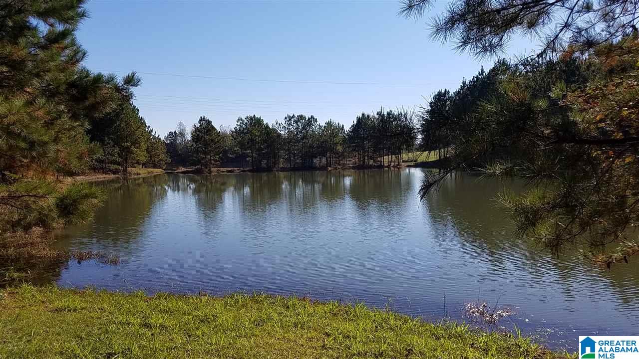 298 Bowerman Road Blountsville, AL 35031 - Photo 7 of 30