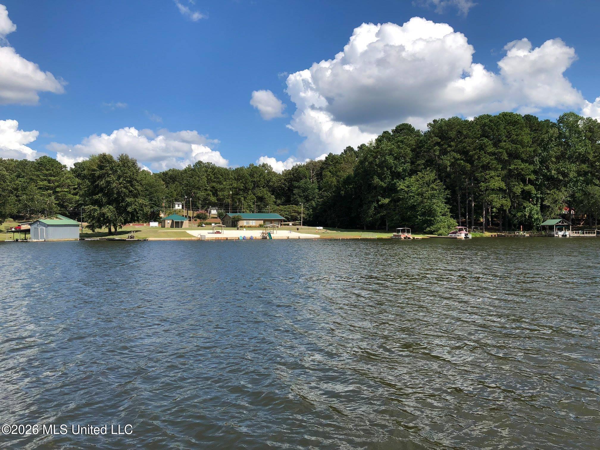 180 Red Oak Road Ashland, MS 38603 - Photo 26 of 33 Beach Area