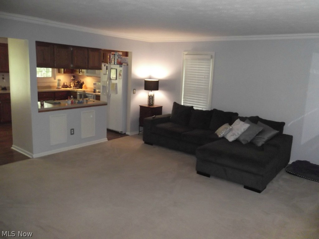 7277 Auburn Road Painesville, OH 44077 - Photo 4 of 21 LIVING ROOM