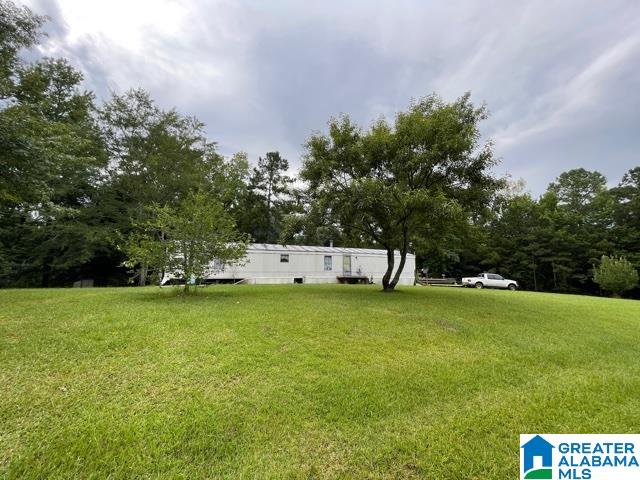 2829 Leander Road Daviston, AL 36256 - Photo 3 of 20