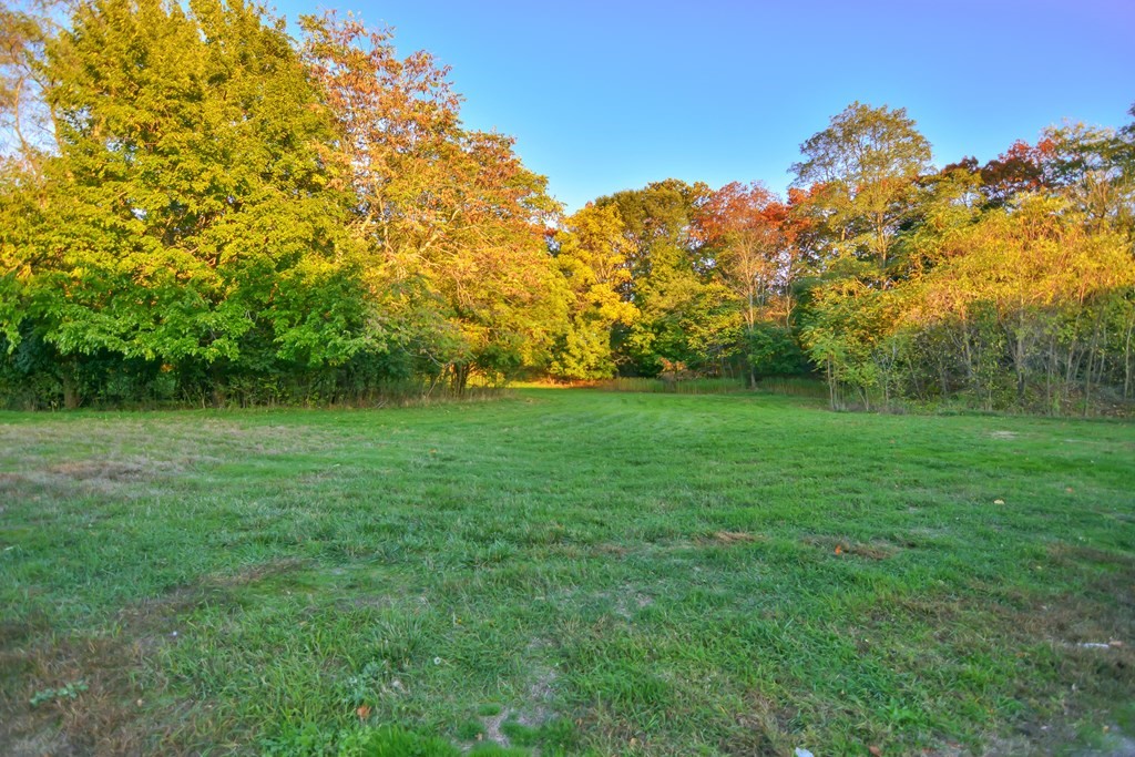 175 Willard Street, Unit 8 Lowell, MA 01850 - Photo 21 of 24 a view of a green field