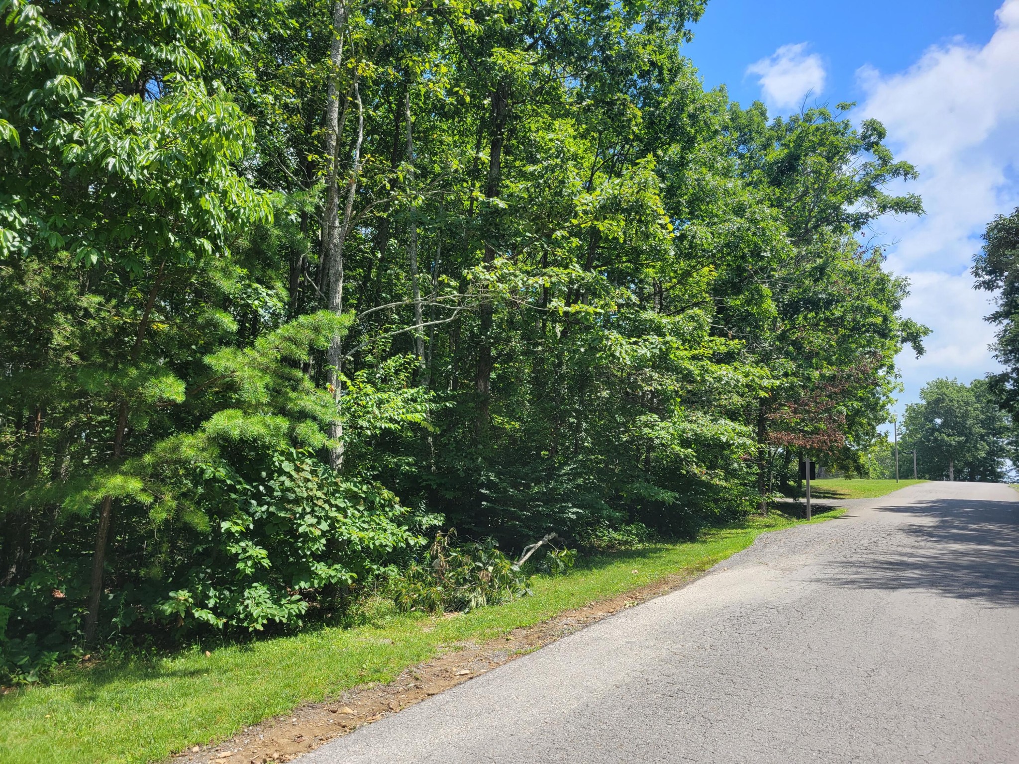 0 Sunshine Trail Rising Fawn, GA 30738 - Photo 2 of 5