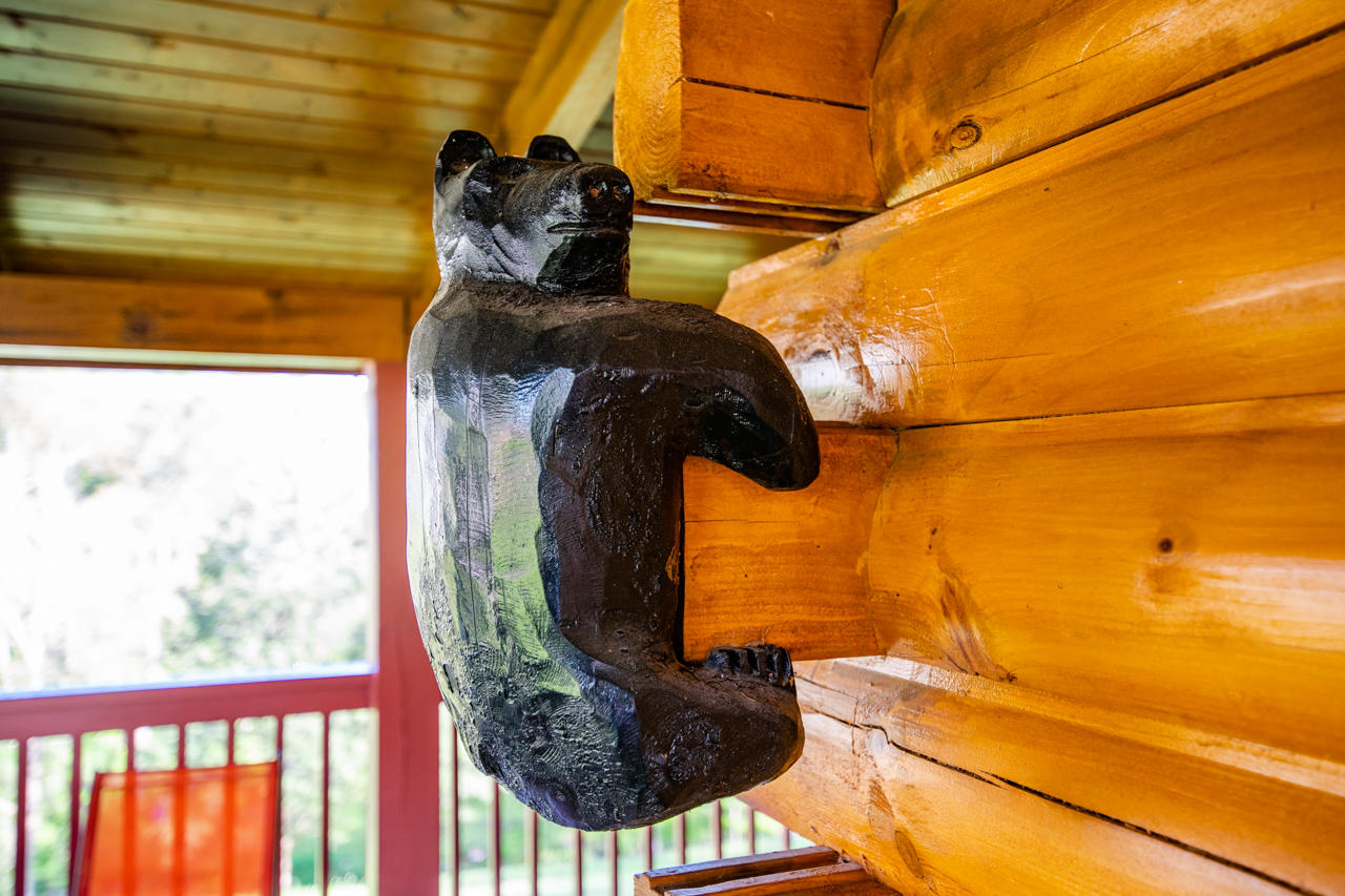 1840 Trout Way Sevierville, TN 37862 - Photo 19 of 26 _DSC5970