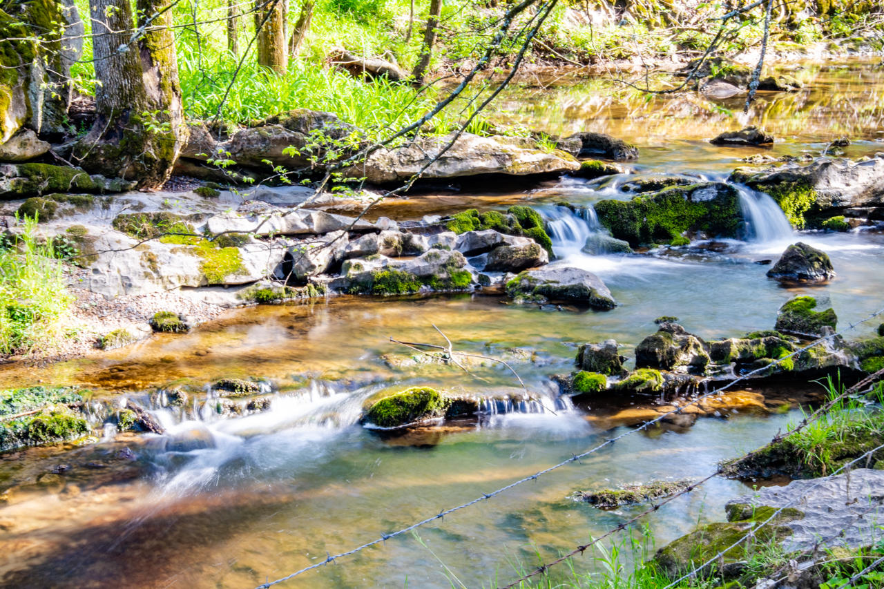 1840 Trout Way Sevierville, TN 37862 - Photo 22 of 26 _DSC5968