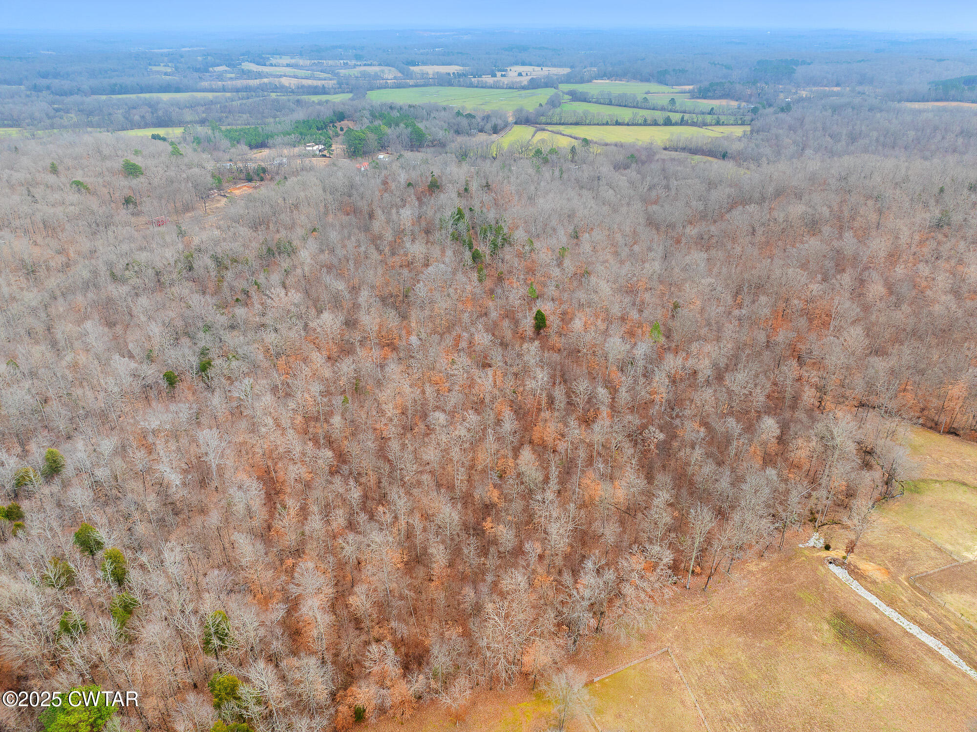 0 Sulphur Spring Road Parsons, TN 38363 - Photo 16 of 25 DJI_20250206125504_0012_D
