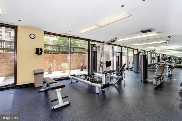 a view of a backyard with plants and outdoor seating