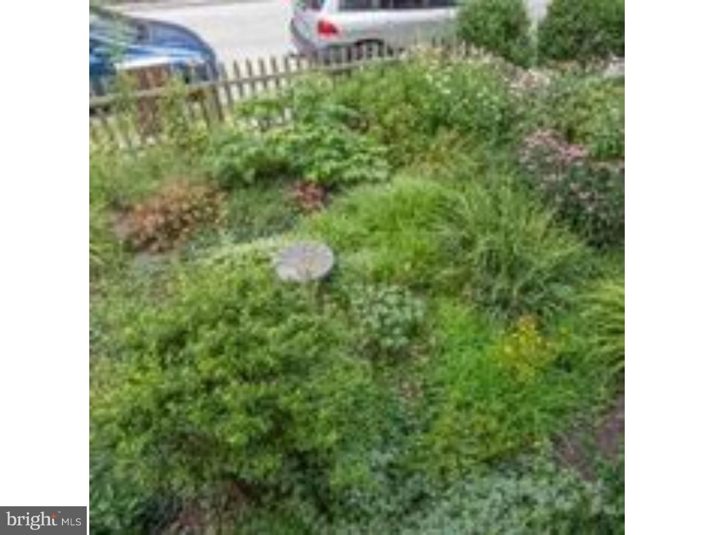 125 Kenilworth Road Merion Station, PA 19066 - Photo 22 of 22 Garden