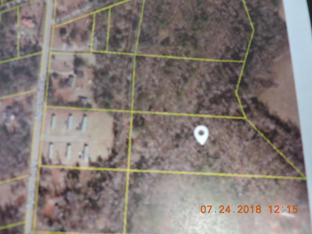 0 Carolines Road Williston, SC 29853 - Photo 3 of 5
