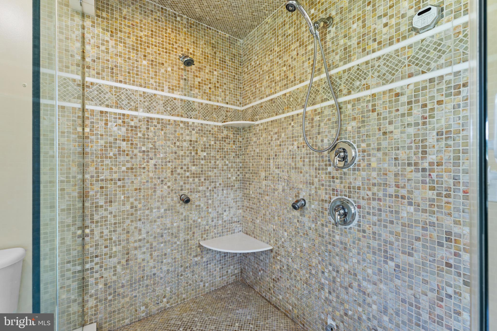 30602 Sandy Landing Road Dagsboro, DE 19939 - Photo 67 of 134 Primary Shower