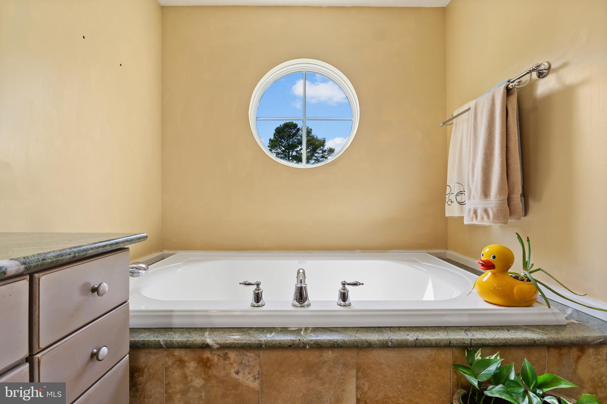 30602 Sandy Landing Road Dagsboro, DE 19939 - Photo 71 of 134 Primary Bathroom