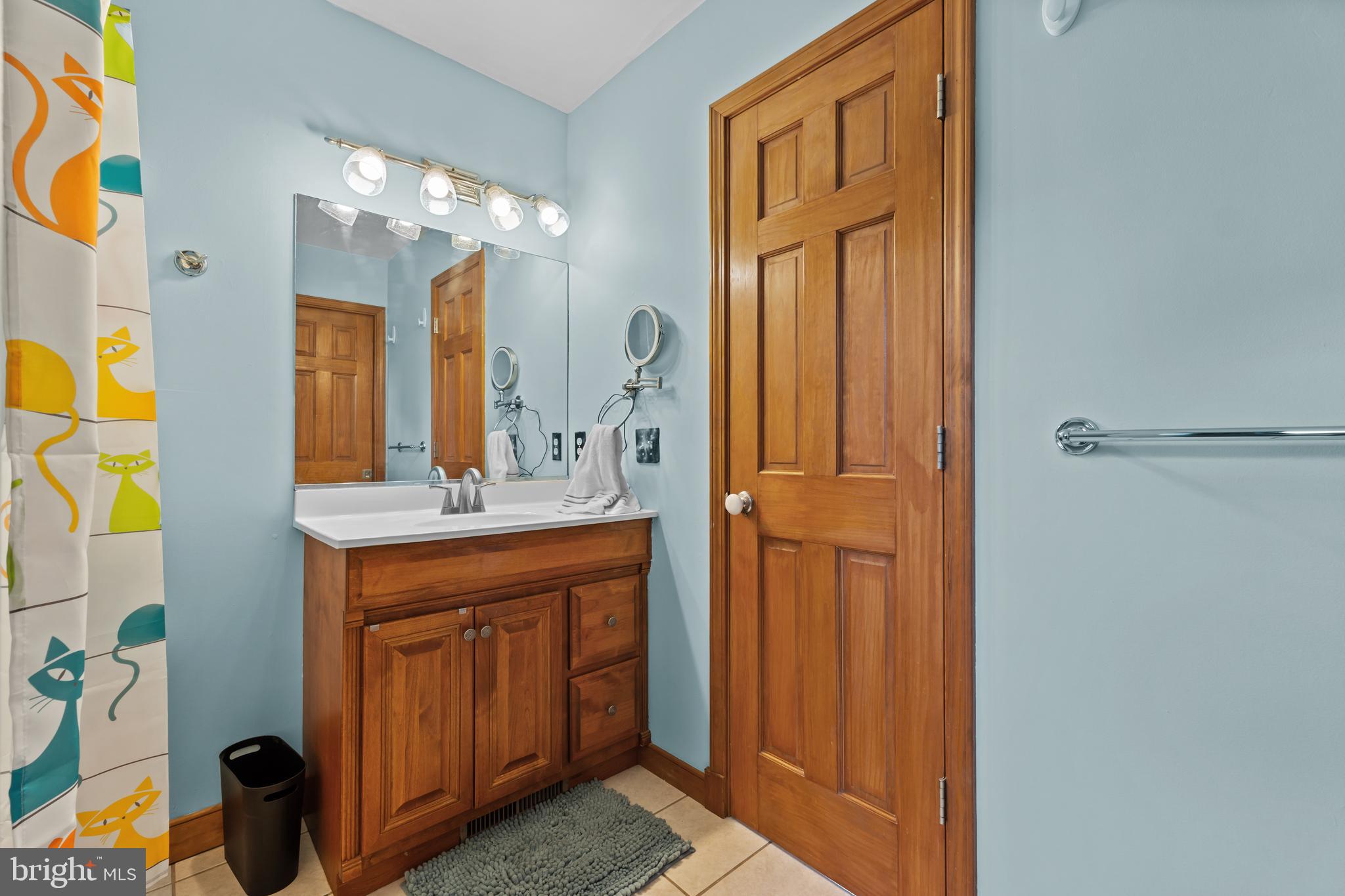 30602 Sandy Landing Road Dagsboro, DE 19939 - Photo 80 of 134 3rd Bathroom
