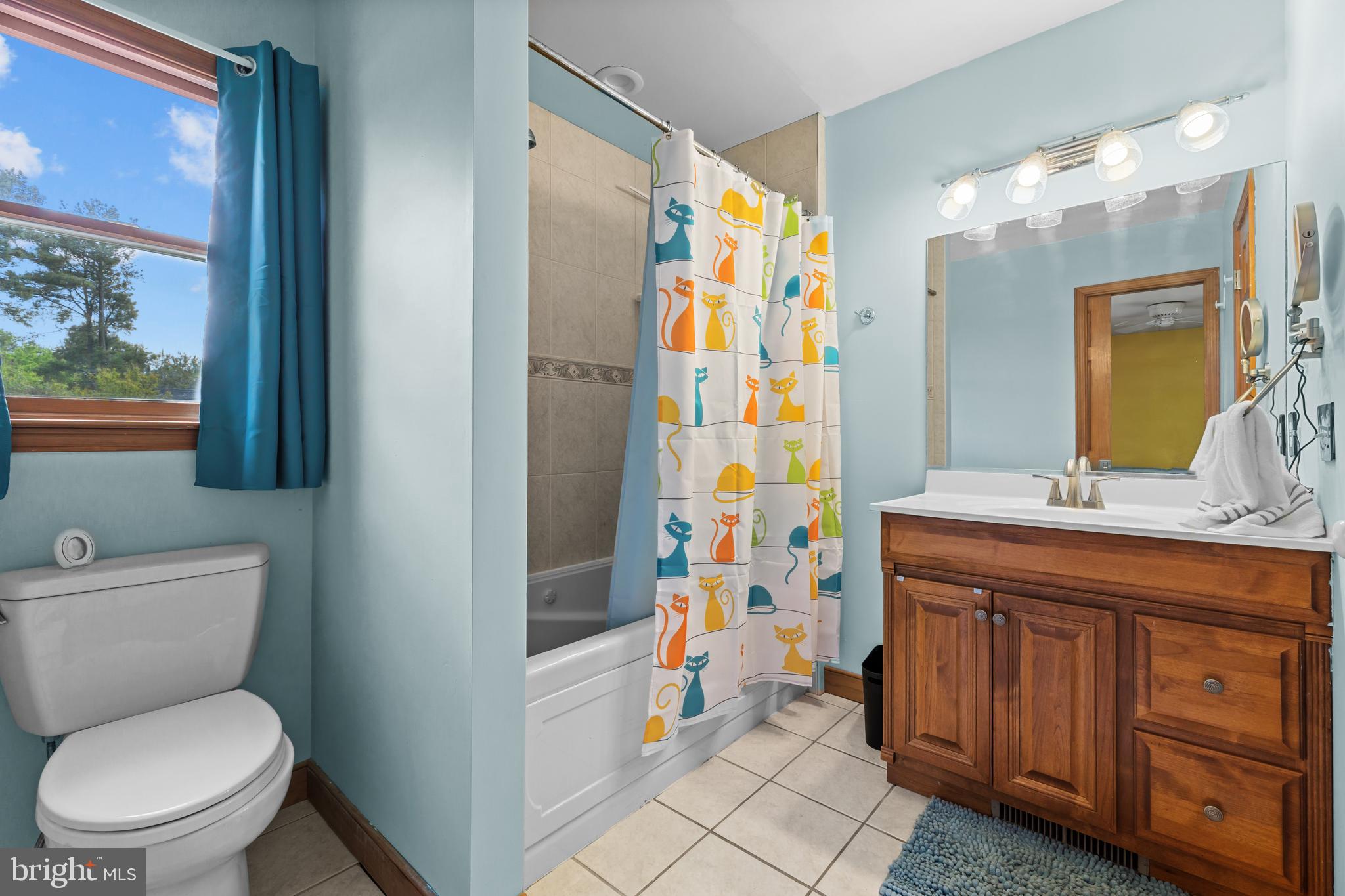 30602 Sandy Landing Road Dagsboro, DE 19939 - Photo 81 of 134 3rd Bathroom