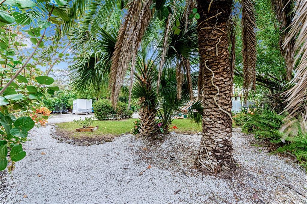 10931 Russell Road Bokeelia, FL 33922 - Photo 38 of 50 a view of a yard with small plants