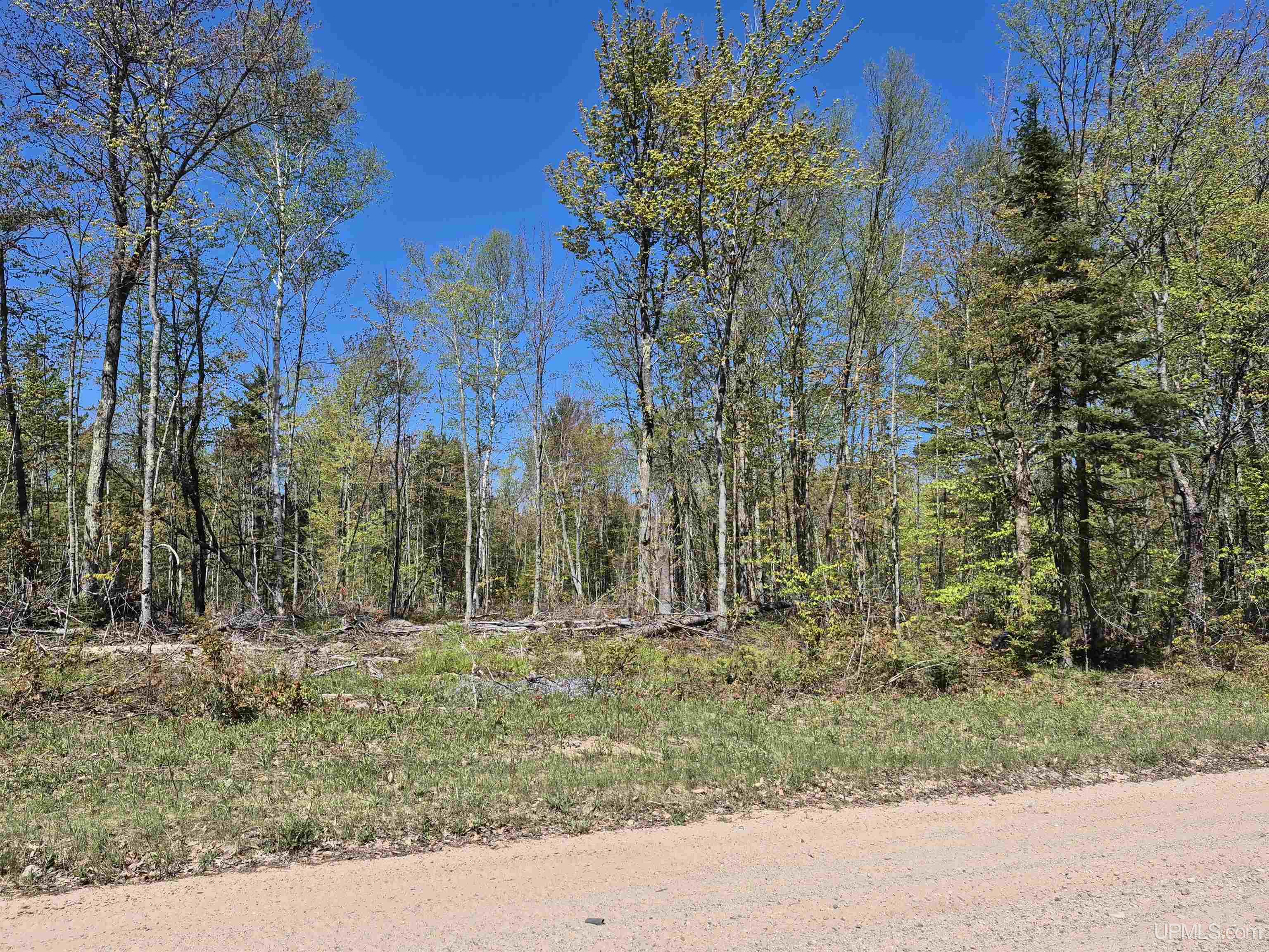 South 8-acres Perch Lake Road Munising, MI 49862 - Photo 22 of 44 Gallery Image 22