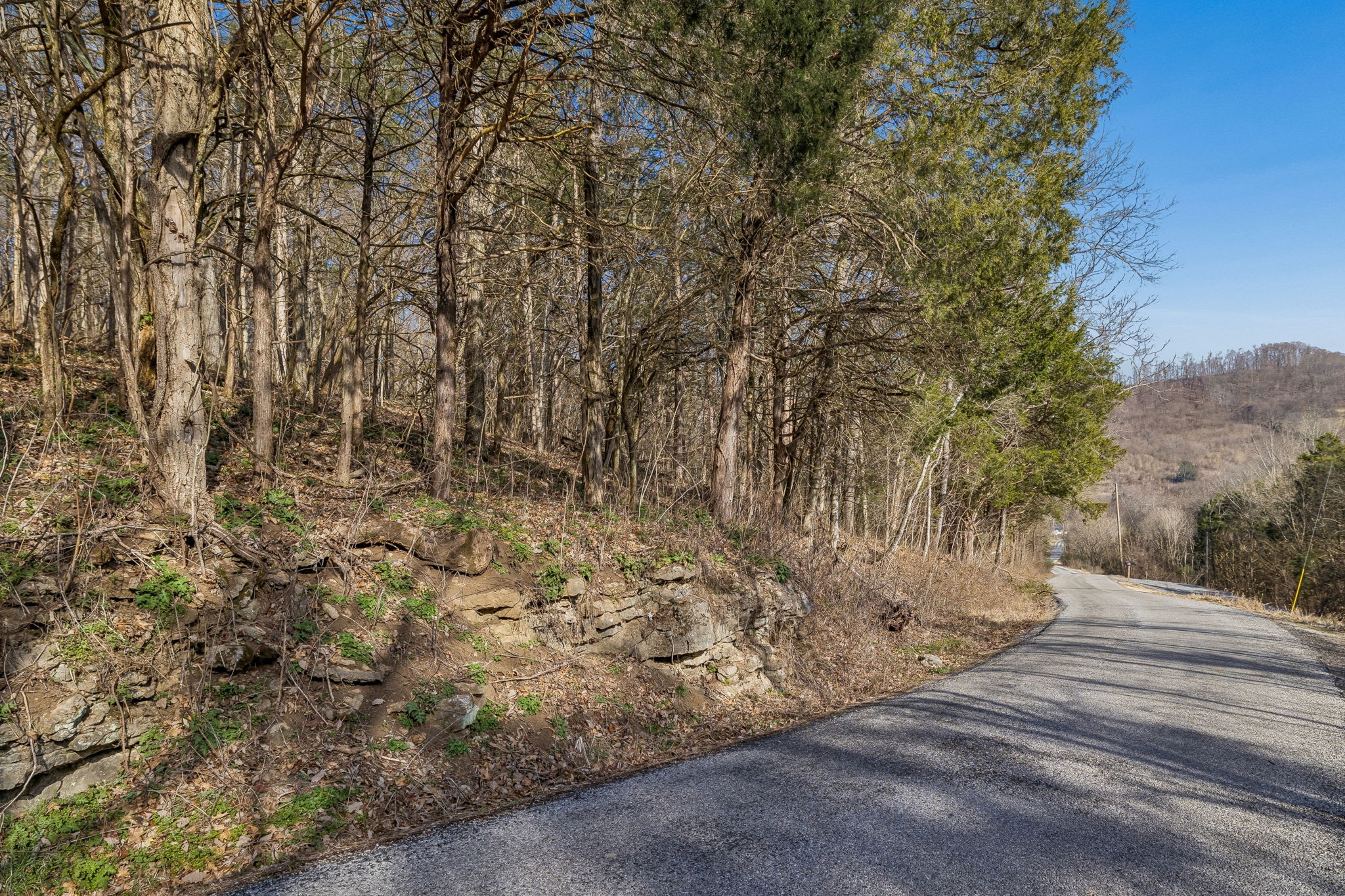 0 Dyer Branch Road Carthage, TN 37030 - Photo 11 of 30 a view of a yard with trees