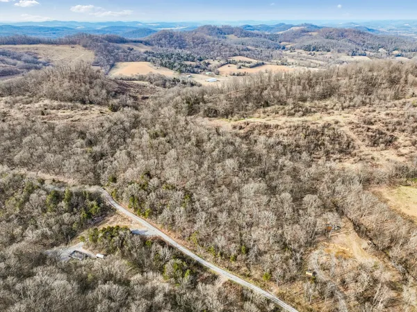 a view of a dry yard with trees