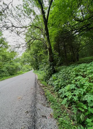 a view of backyard with green space