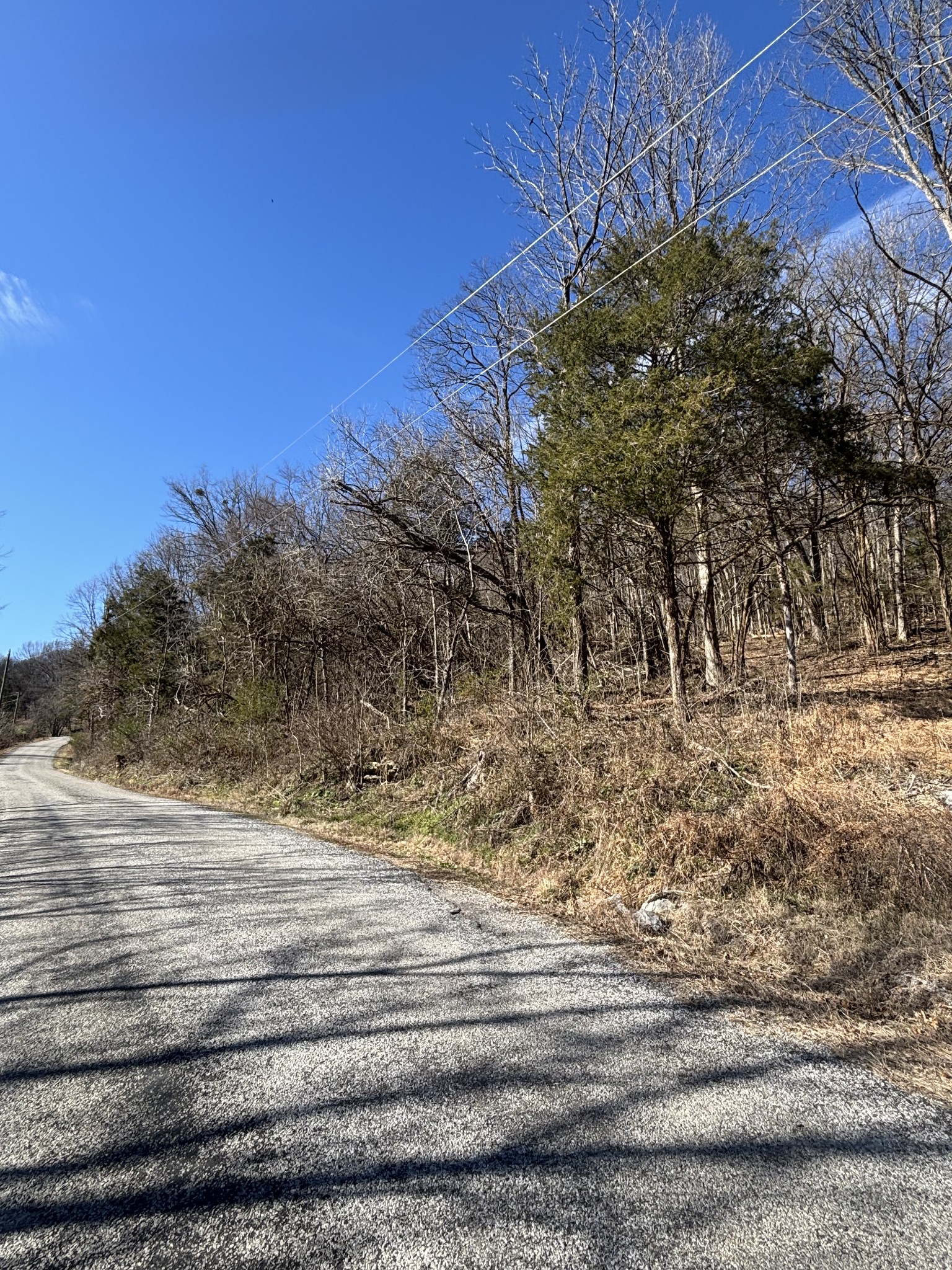 0 Dyer Branch Road Carthage, TN 37030 - Photo 27 of 30 a view of a yard with wooden fence
