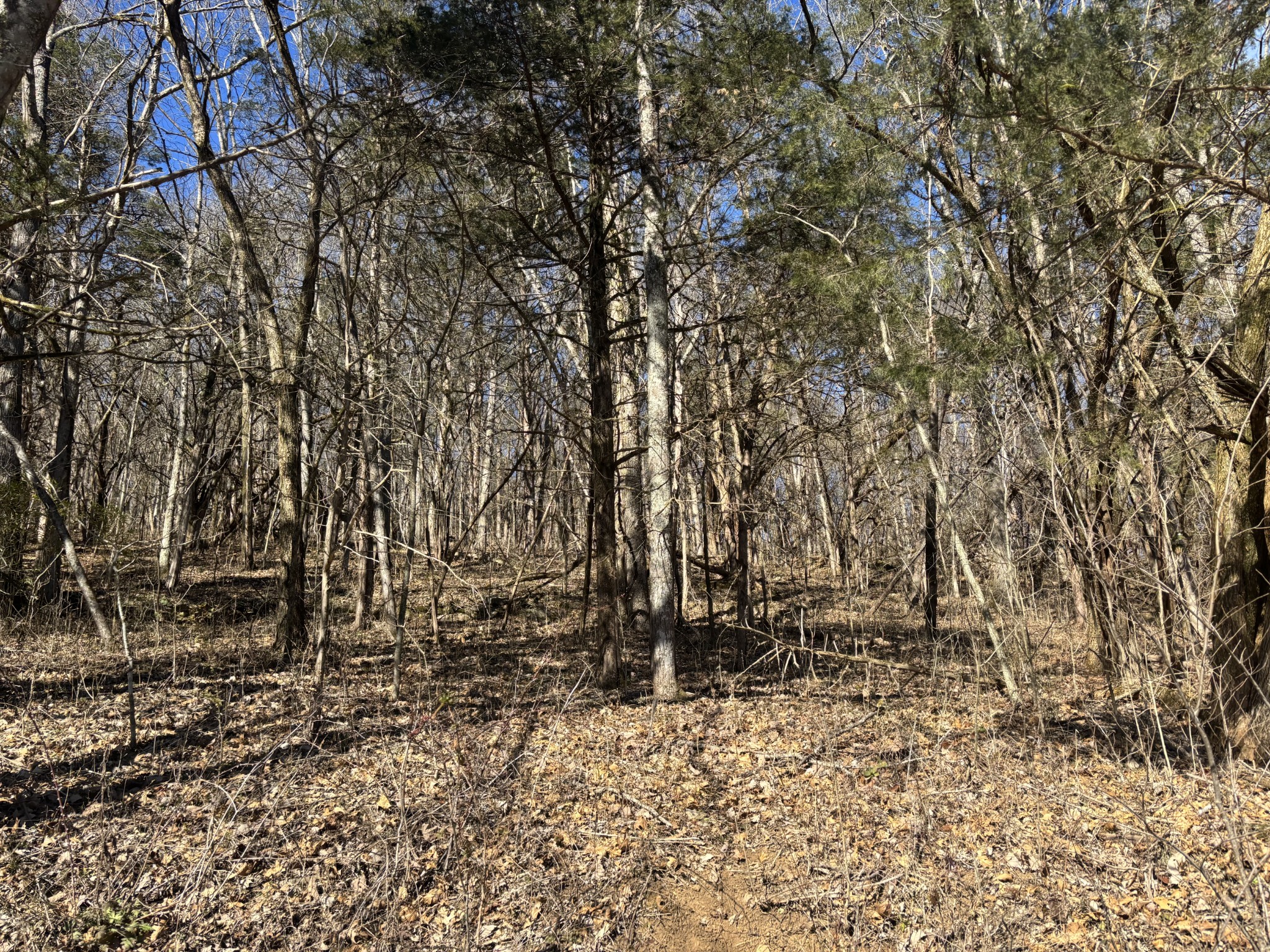 0 Dyer Branch Road Carthage, TN 37030 - Photo 29 of 30