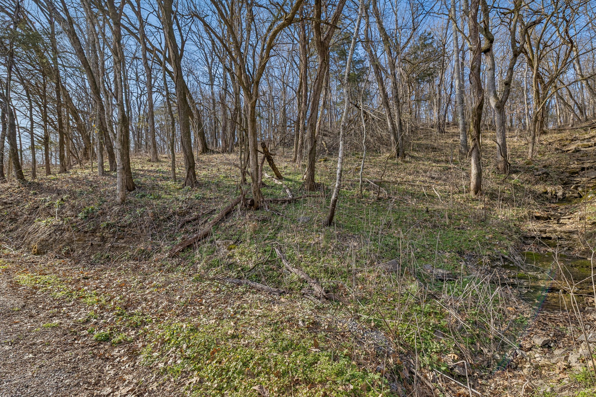 0 Dyer Branch Road Carthage, TN 37030 - Photo 6 of 30 a backyard of a house with lots of green space