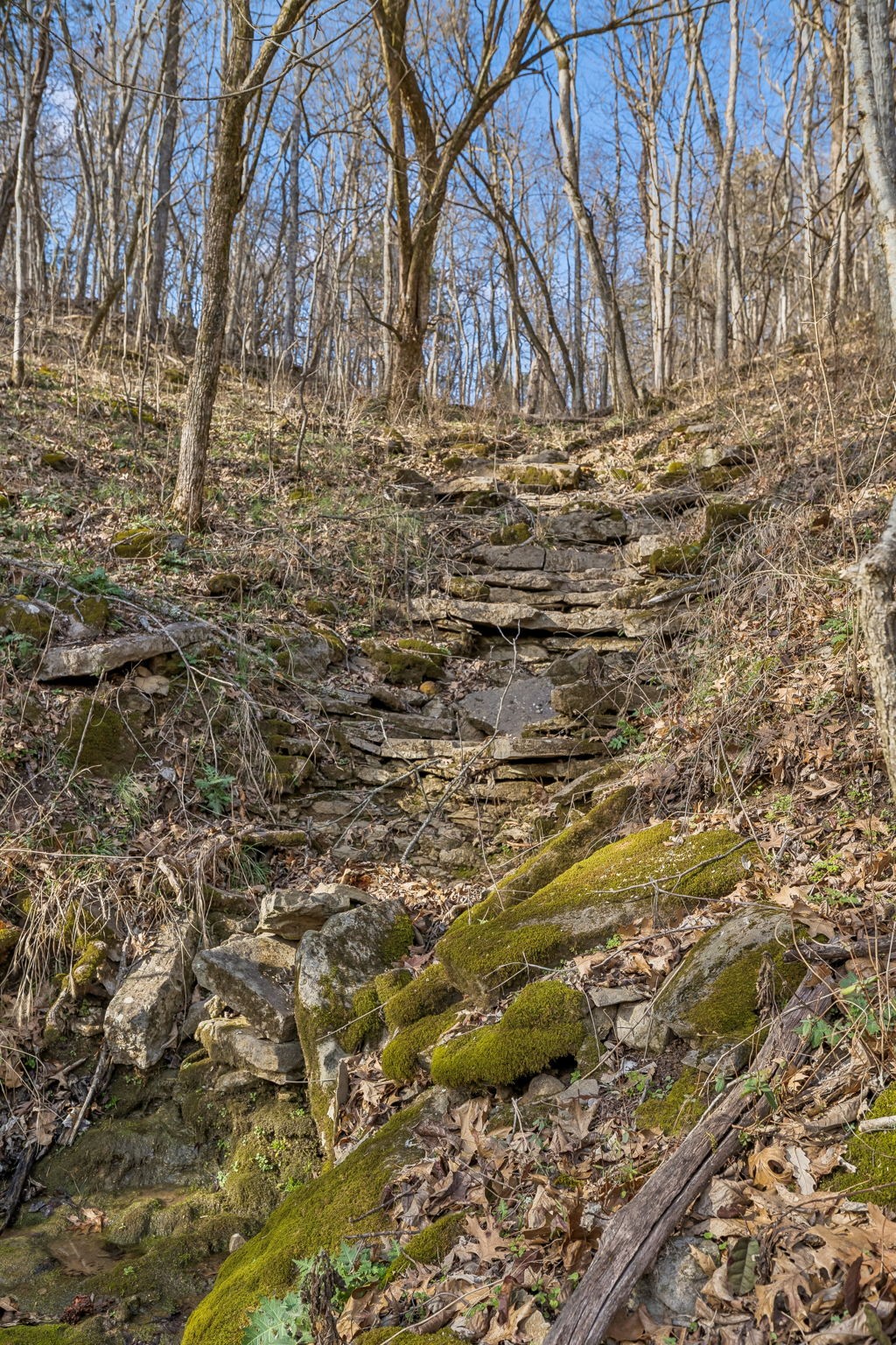 0 Dyer Branch Road Carthage, TN 37030 - Photo 8 of 30 a view of house covered with snow