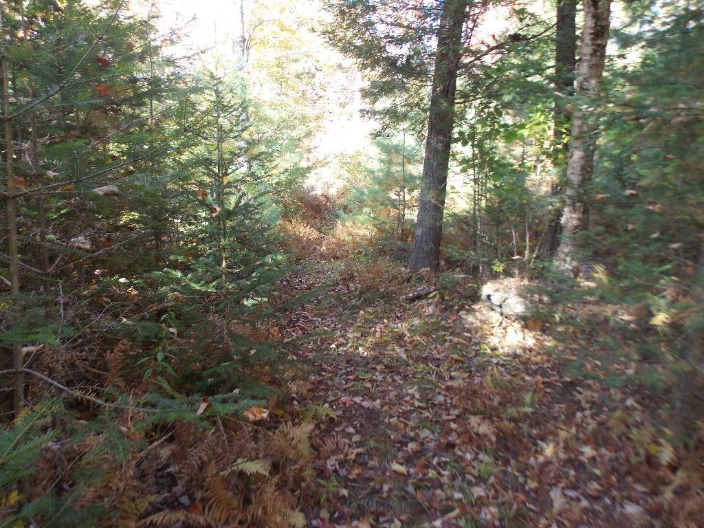 134 Skidmore Road North Anson, ME 04958 - Photo 11 of 14 Photo