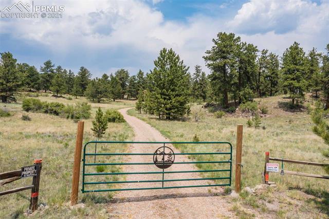 1773 Greta Valley Road Guffey, CO 80820 - Photo 32 of 36 Gallery Image 32